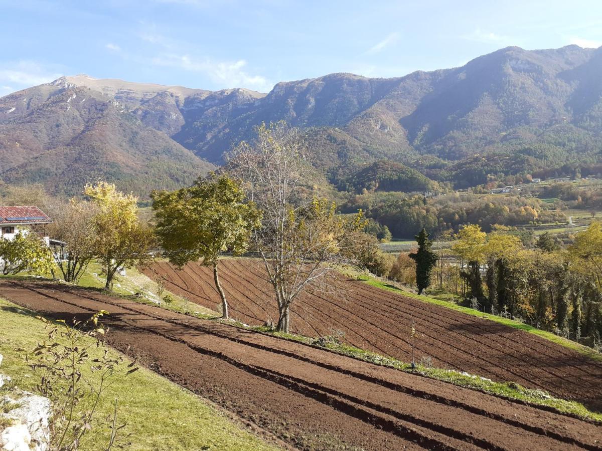 Coste Del Gaggio - Country House B&B - Garda Trentino Drena エクステリア 写真