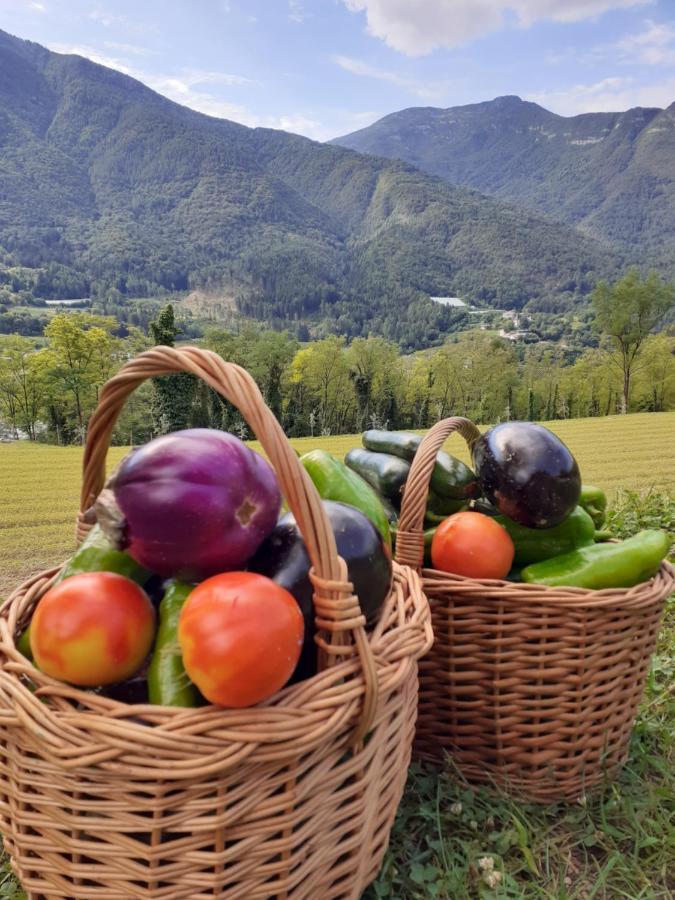 Coste Del Gaggio - Country House B&B - Garda Trentino Drena エクステリア 写真