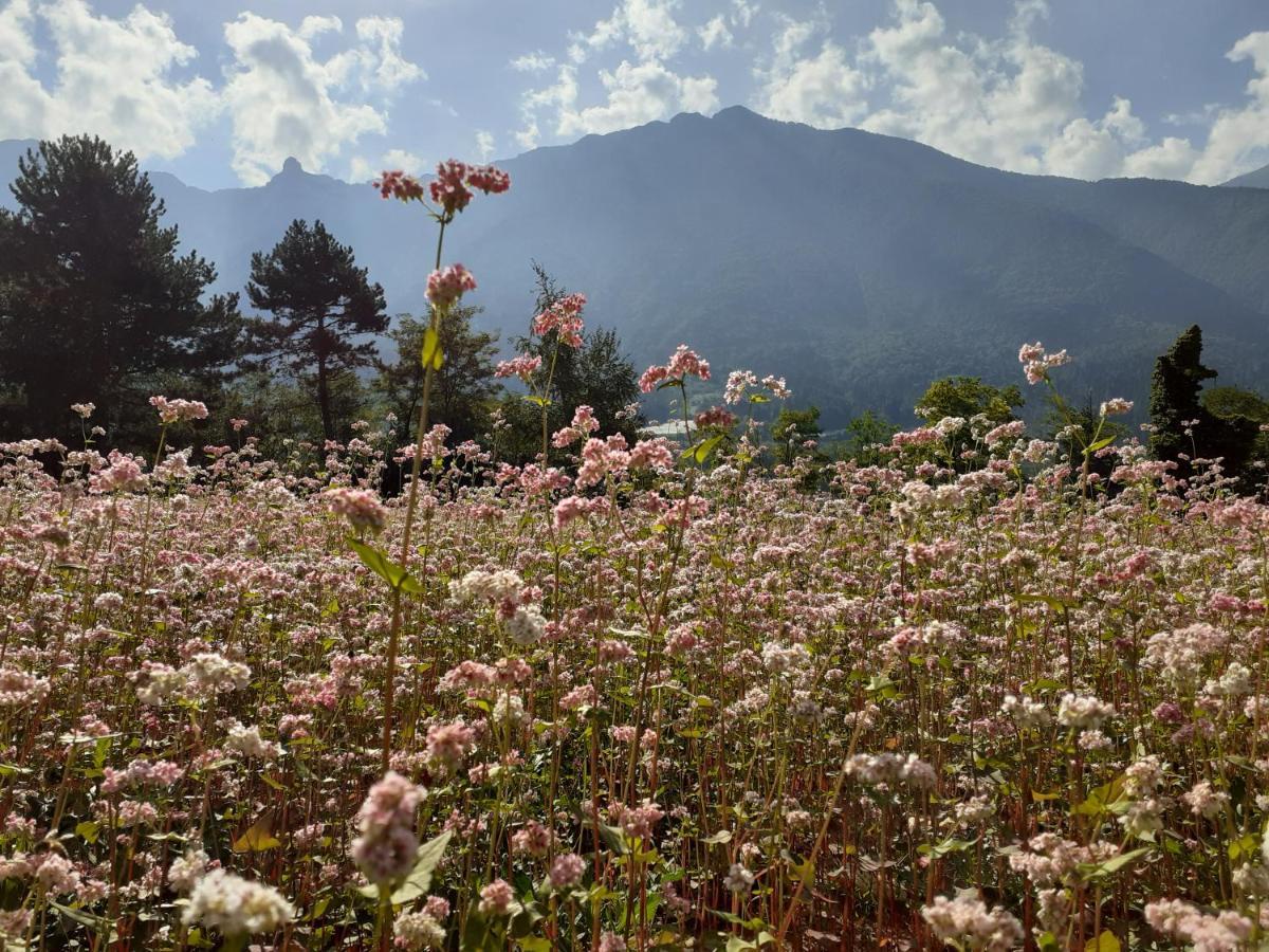 Coste Del Gaggio - Country House B&B - Garda Trentino Drena エクステリア 写真
