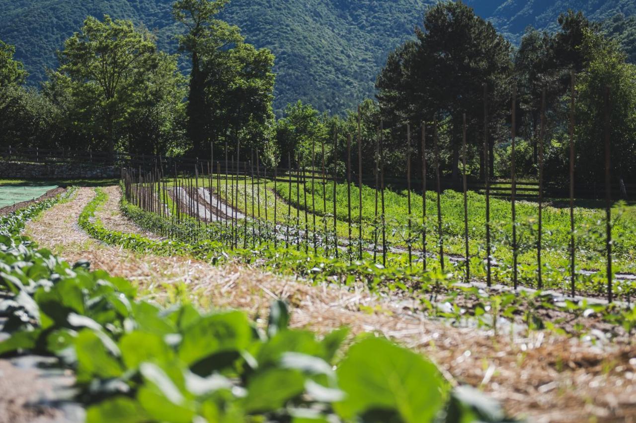 Coste Del Gaggio - Country House B&B - Garda Trentino Drena エクステリア 写真