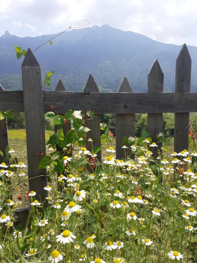 Coste Del Gaggio - Country House B&B - Garda Trentino Drena エクステリア 写真