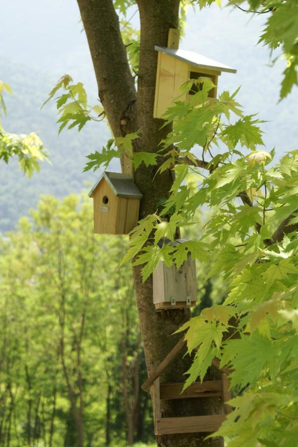 Coste Del Gaggio - Country House B&B - Garda Trentino Drena エクステリア 写真